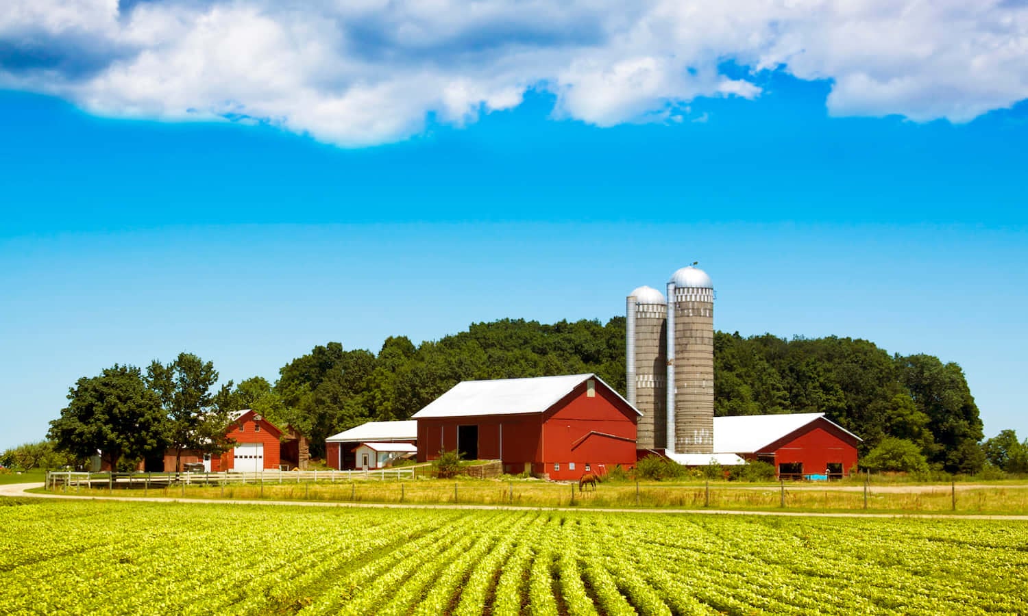 Nevada Farm Security